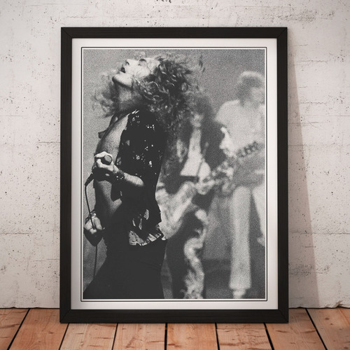Cuadro Rock - Led Zeppelin - Vintage Live Show