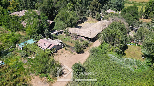 Predio 68.5 Ha En Cam La Montaña Con Parrones En Producción