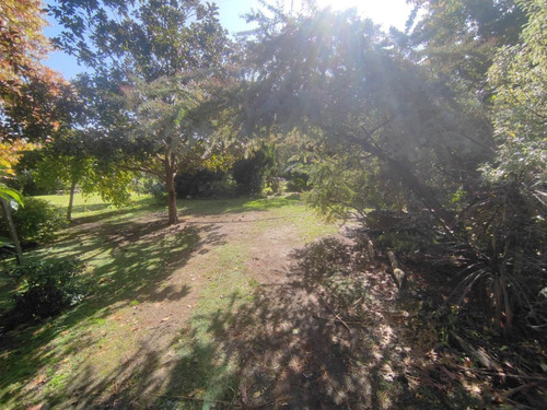 Imagen 14 de 30 de Quinta Hermosa Parquerizada Con 2 Lotes