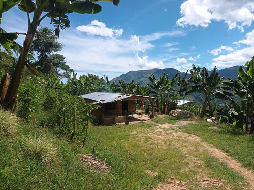 Se Vende Finca Génova Quindío 