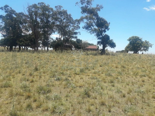 Imagen 3 de 14 de Campo Cerca De La Ruta 12 Y Ruta 60 - Minas