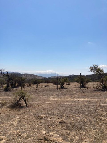Imagen 2 de 16 de Sitio Condominio Foresta De Zapallar/ruta 5 Norte