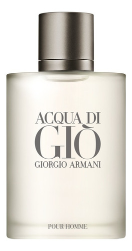 Perfume Aqua Di Gio 100ml Edt Original