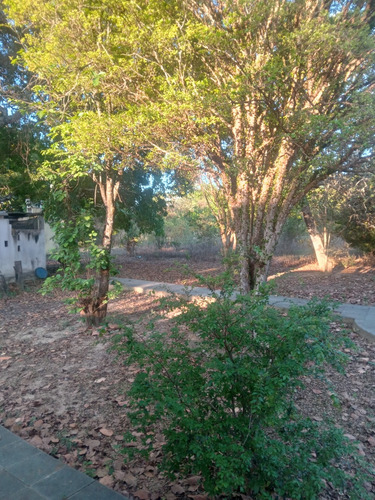Sitio, Sendo Casa Com 3 Quartos,uma Suite,um Banheiro Social
