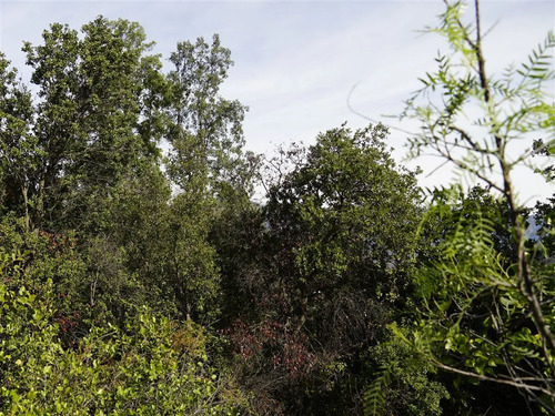 Parcela 32.000m2 En Venta En Cuesta La Dormida - Olmué.