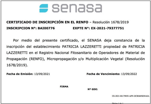 Imagen 9 de 10 de Plantas De Frutos - Arandano , Zarzamora , Grosella