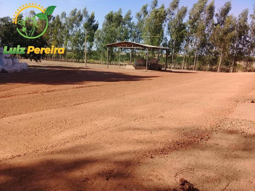 Imagem 15 de 15 de Fazenda À Venda Em Lagoa Do Tocantins-to-de 205 Alqueirões (dupla Aptidão) - 1816