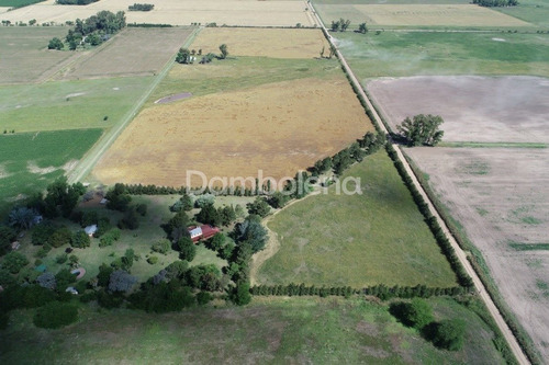 Imagen 4 de 30 de Terreno Fraccion En Venta O Permuta Ubicado En Mercedes, Resto De La Provincia