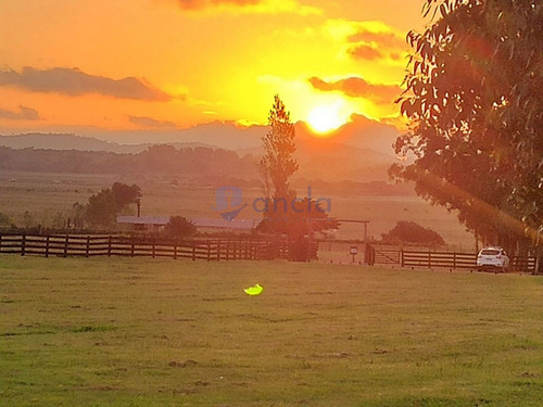 Imagen 14 de 26 de En Venta Casa En Chacra El Quijote- La Barra