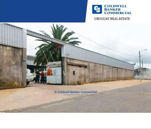 Depósito Para Industria O Logística Batlle Berres Venta Alquiler