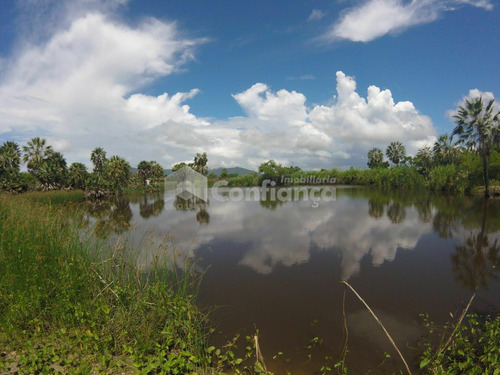 Imagem 7 de 7 de Terreno À Venda Na Br-020 Riachão Em Caucaia/ce - 256