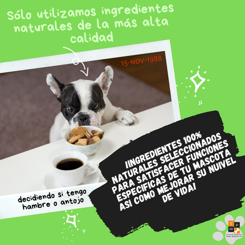 Kit Alimentacion Integral Para Salud Y Bienestar De Gatos