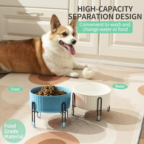 Juego Tazones Elevados 32 Oz Gatos Perros 6.5 Blanco Azul