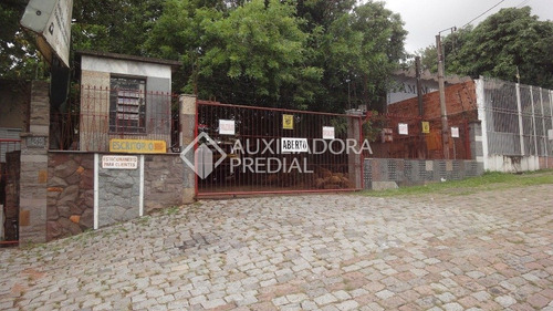 Imagem 9 de 11 de Terreno - Protasio Alves - Ref: 237184 - V-237184