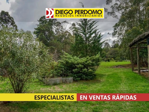 Imagen 10 de 14 de Casa De 3 Dormitorios, En Venta, Ciudad Del Plata