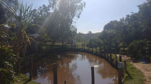 Imagem 14 de 19 de Pj Linda Chácara A Venda