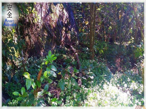 Imagem 2 de 5 de Sitio Em Mairiporã - Al121