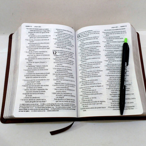 Imagen 7 de 10 de Biblia Ntv Edición Compacta De Letra Grande Senti Piel Café