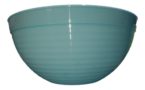 50 Ensaladeras Bowl Batidor Grande