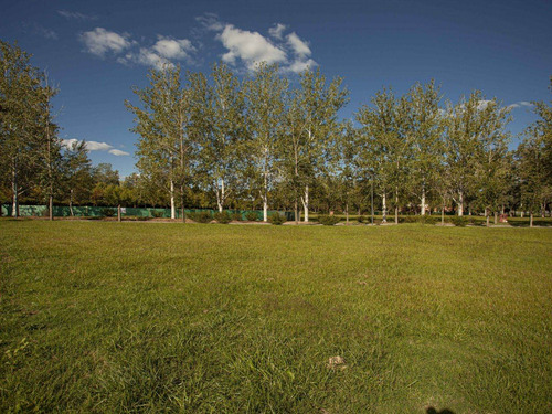 Imagen 8 de 11 de Terreno En Venta En El Tropezón
