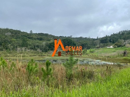 Imagem 12 de 30 de Sitio 25 Alqueires - Juquitiba/sp - St00064 - 70777009