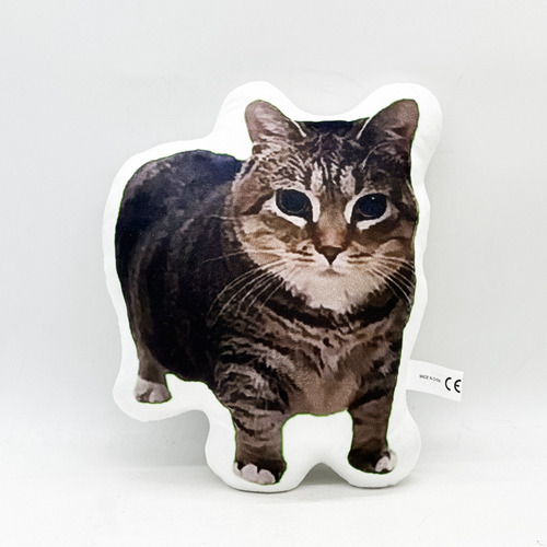 Almohada Con Estampado Divertido De Gato Oiiai De 26 Cm, Pel