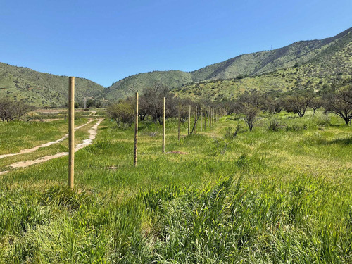 Reserva El Quillay, Padre Hurtado, Rm (68253)