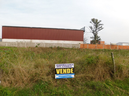 Imagen 2 de 10 de Dos Lotes A 50m De Av. Centenario.