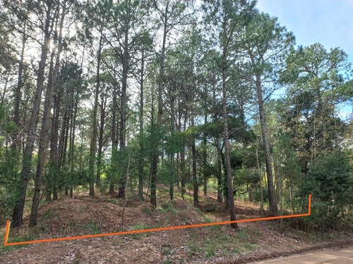Casa En Venta Carilo