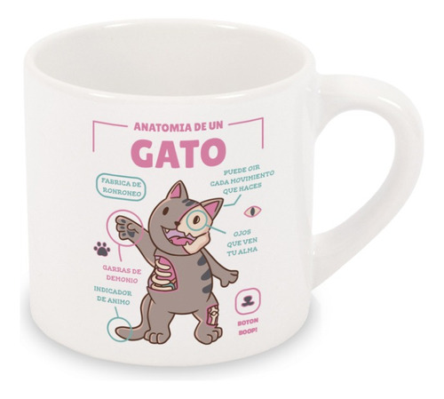 Taza Chica 6 Onzas Anatomia De Un Gato Personalizable