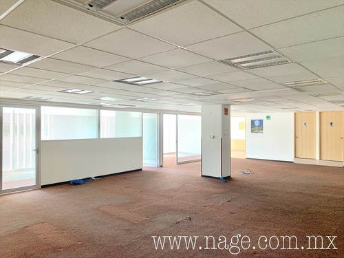 Excelente Oficina En Polanco, Miguel Hidalgo