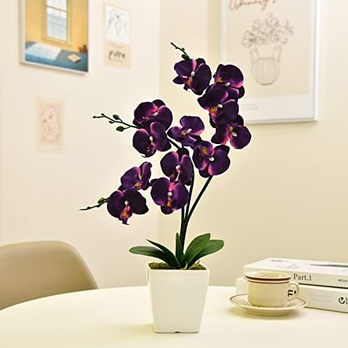 Yszl 15 Arranjos De Vasos De Plantas De Flores De Orquídea