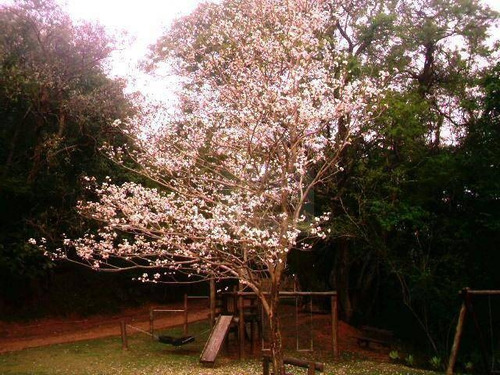 Terreno À Venda, 1978 M² - Condomínio Jardim Primavera - Louveira/sp - Te1897