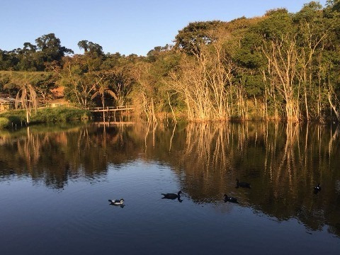 Imagem 2 de 30 de Fazenda Venda,botelhos -poços De Caldas/mg - Fa00057 - 32269017