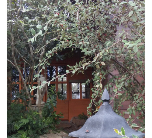 Cabaña Para Alquilar Por Día En Villa Serrana