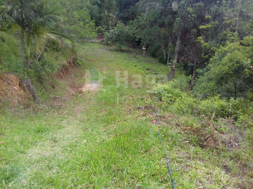 Terreno Rural Para Sítio Ou Chácara A Venda Em Botuverá/sc - 1699c