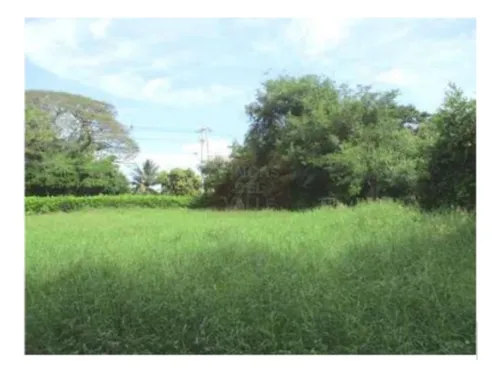 Buga, 23.200 M2, Se Vende Finca Avícola