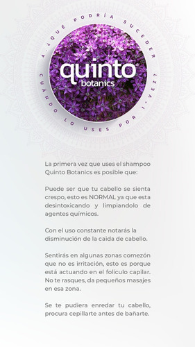 Imagen 2 de 3 de 1 Shampoo Sólido 100% Detox, Anticaida, Crecimiento