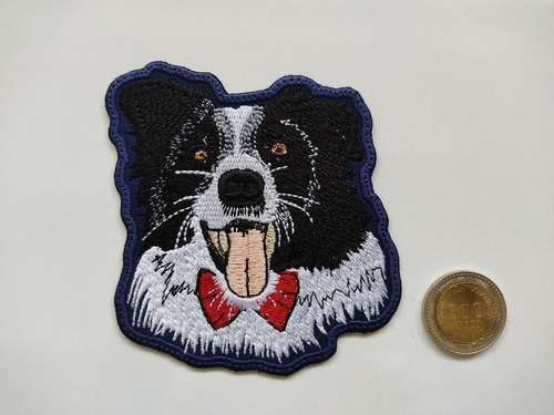 Parche Bordado Raza Perro Border Collie Inglaterra