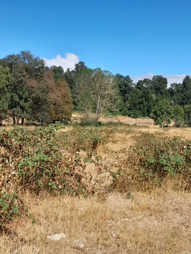Venta De Parcelas O Terreno En Panguipulli A 9k Del Lago