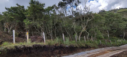 Lote Santa Elena