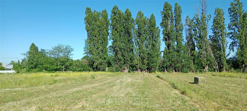 Parcela En Venta En San Javier