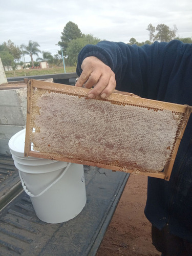 Miel En Panal De Entre Ríos X 1 Kg