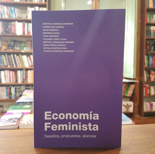 Economía Feminista