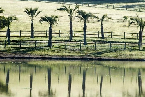 Lote | Manantiales - Punta Del Este