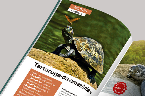 Camelot Editora Mundo Animal Animais Brasileiros Tapa Del Libro Mole