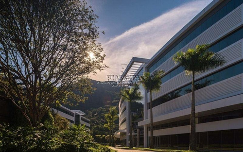 Imagem 5 de 30 de Sala Comercial Para Locação, Saco Grande, Florianópolis - . - Sa0017
