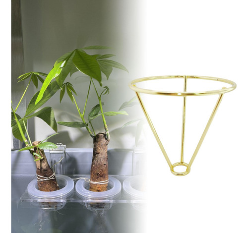 Soporte De Triángulo De Planta Hidropónica Oro