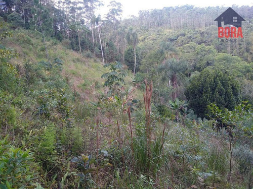 Imagem 30 de 30 de Sítio Com 2 Dormitórios À Venda, 8646 M² Por R$ 600.000,00 - Ponte Alta - Mairiporã/sp - Si0031