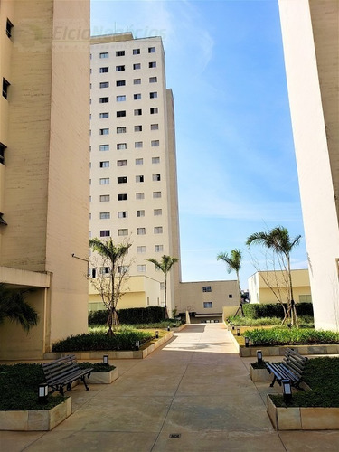 Imagem 20 de 30 de Apartamento Para Venda, 2 Dormitórios, Piqueri - São Paulo - 2538